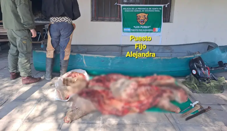 Abigeato de ganado menor en la localidad de Alejandra