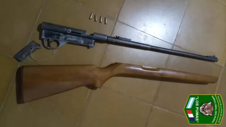 Romang: Secuestraron arma de fuego sin documentación