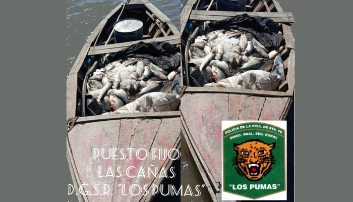 PUESTO FIJO LAS CAÑAS
