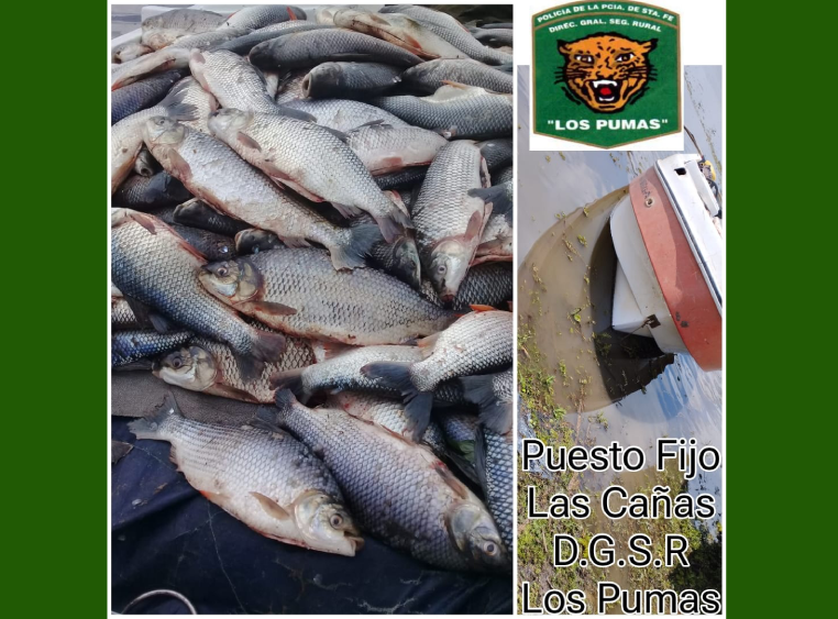 Los Pumas secuestro de pescados