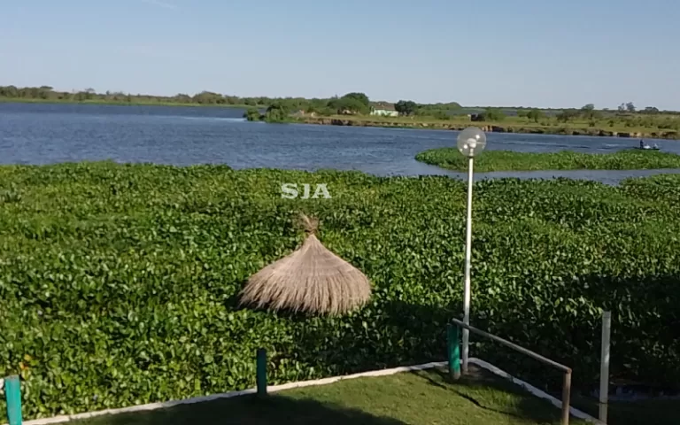 LA RINCONADA SAN JAVIER