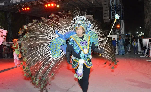 Darío Rodríguez - carnaval San Javier
