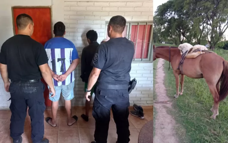 ROBO DE CABALLO