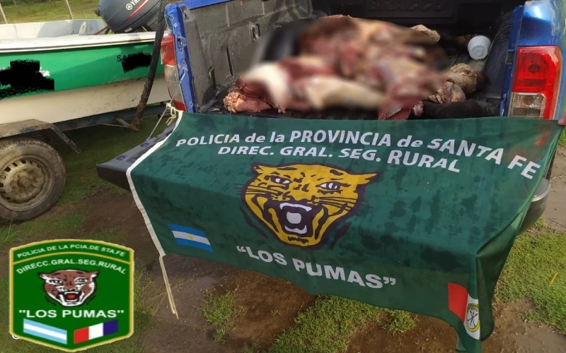 Abigeato en San Javier