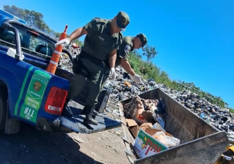 Gran secuestrando de piezas ictícolas y carnes de Los Pumas