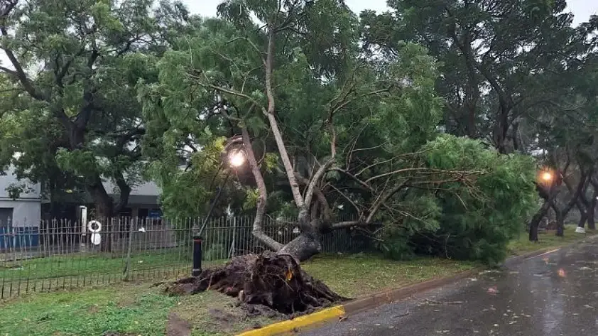 Severo temporal de lluvia y viento en Santa Fe y Rosario