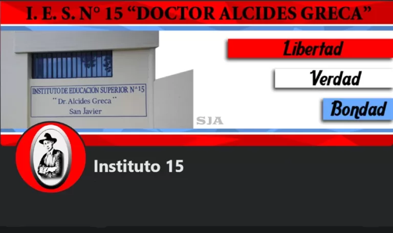 INSTITUTO 15 LOGO B
