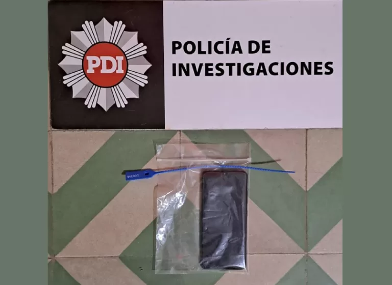 PDI CELUILAR RECUPERADO