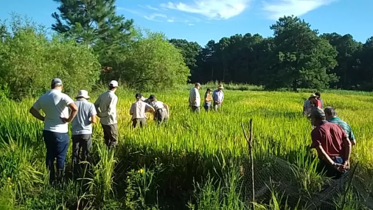 JORNADA A CAMPO (11)