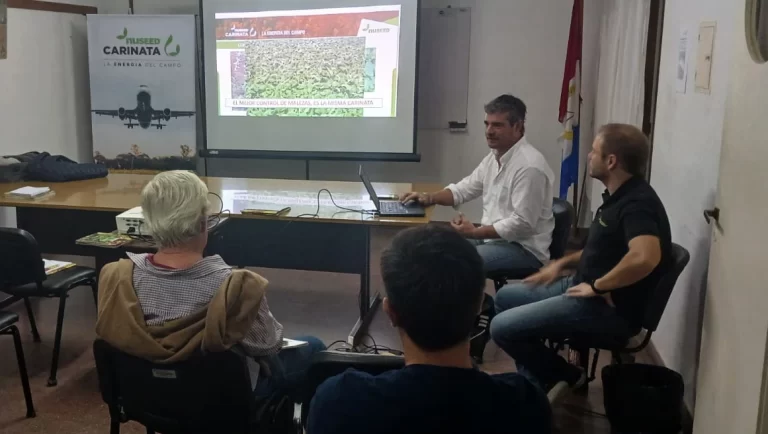 CHARLA CARINATA 1