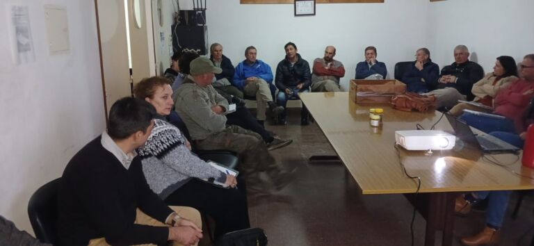 San Javier: Las condiciones climáticas provocaron un 80% de perdidas en la apicultura