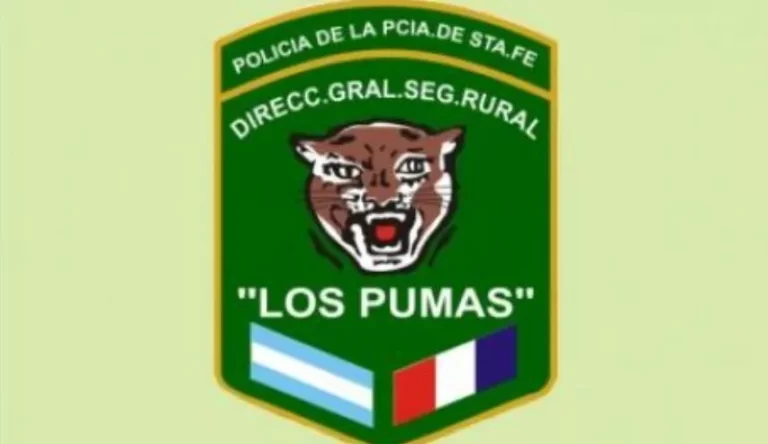 LOS PUMAS_11zon