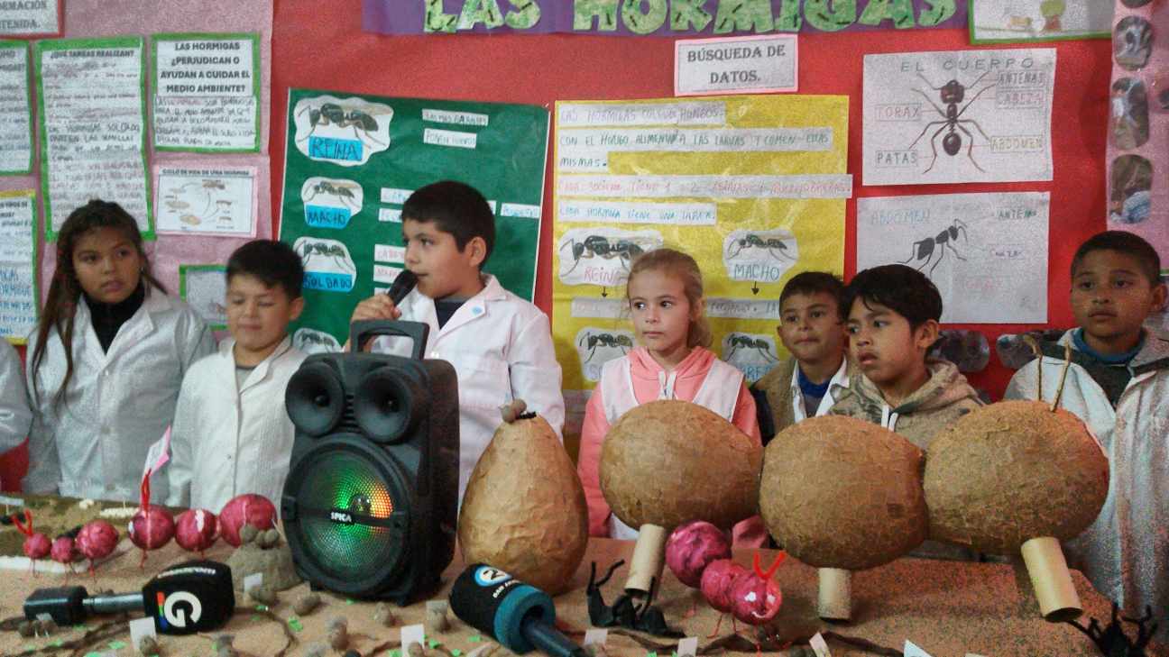 Feria de Ciencias en la Escuela Nº 6099 de San Javier