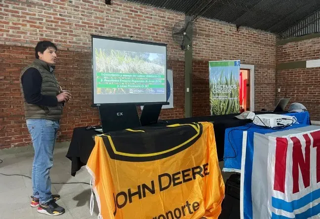 JORNADA DE CULTIVO DE ARROZ (2)