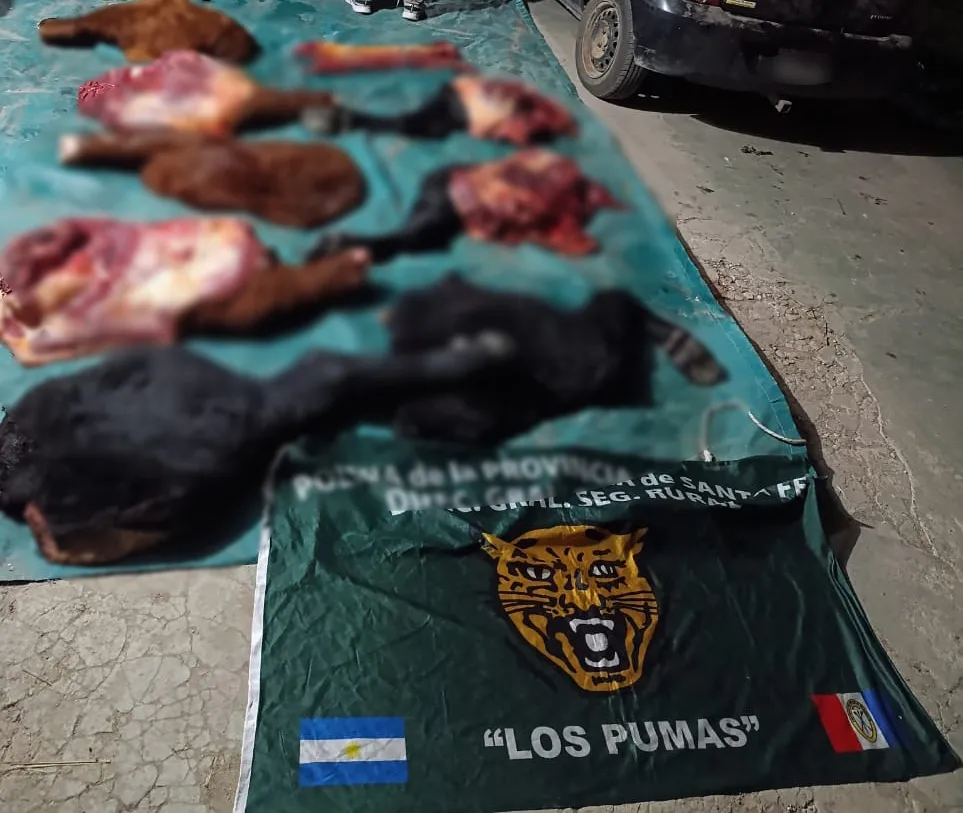 “Los Pumas” de San Javier aprehendieron a dos personas por abigeato