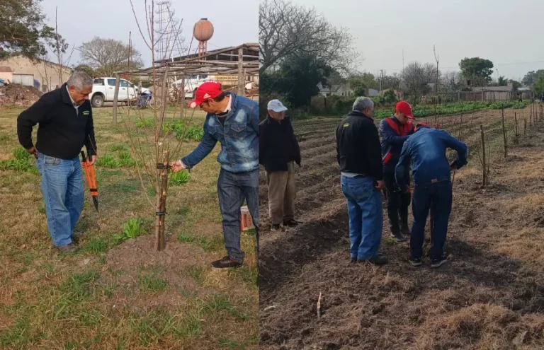 Poda de durazneros en la huerta comunitaria de Alejandra