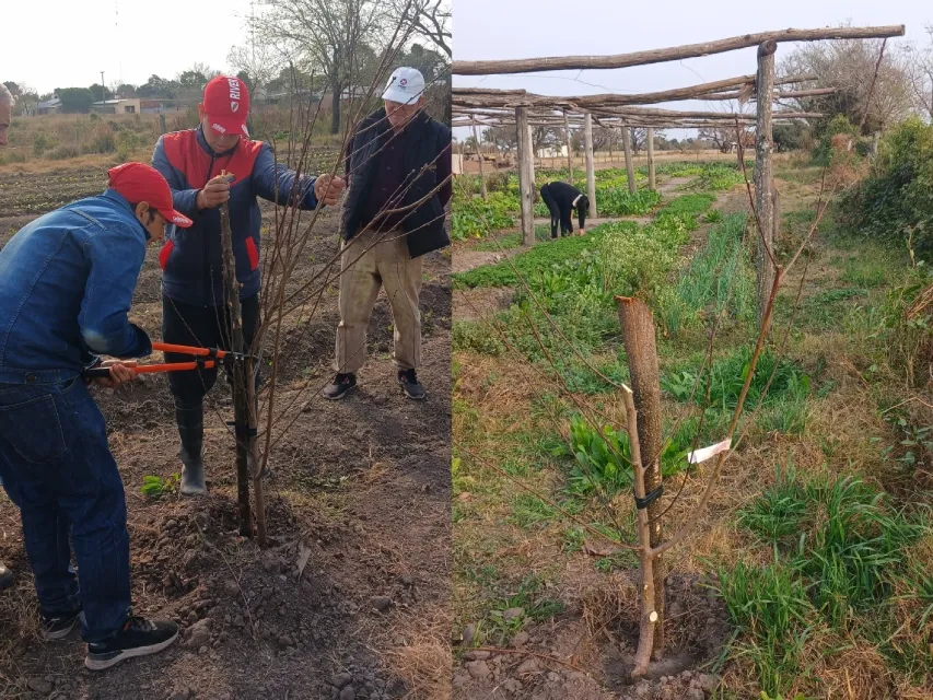 Poda de durazneros en la huerta comunitaria de Alejandra