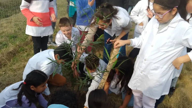 Se plantaron árboles nativos en el predio del CEF N° 43 de San Javier
