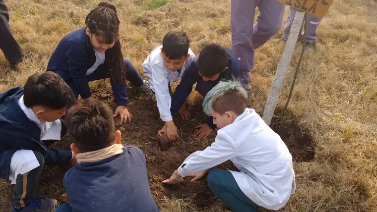 Se plantaron árboles nativos en el predio del CEF N° 43 de San Javier