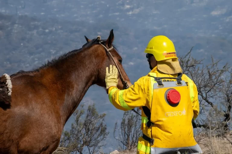 INCENDIOS EN CORDOBA (1)_11zon