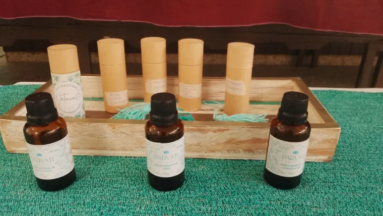 Natural 5: Un proyecto para combatir mosquitos y la deserción escolar