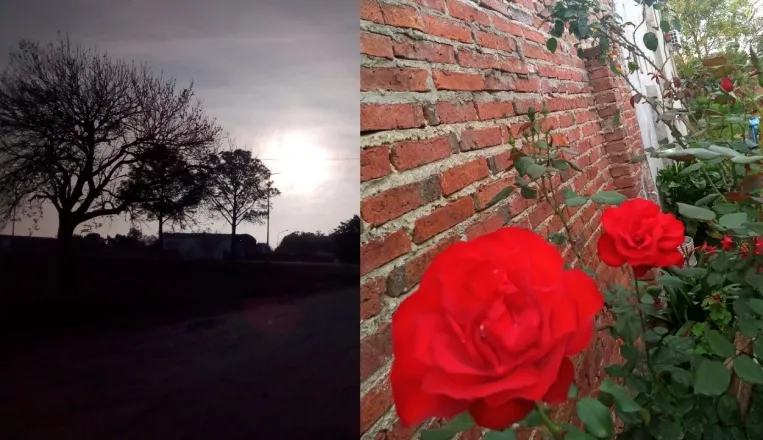 PRIMAVERA 3