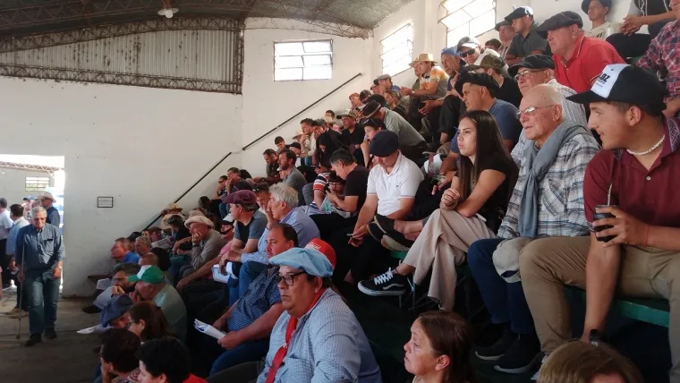 Auspicioso remate de reproductores en la Sociedad Rural de San Javier
