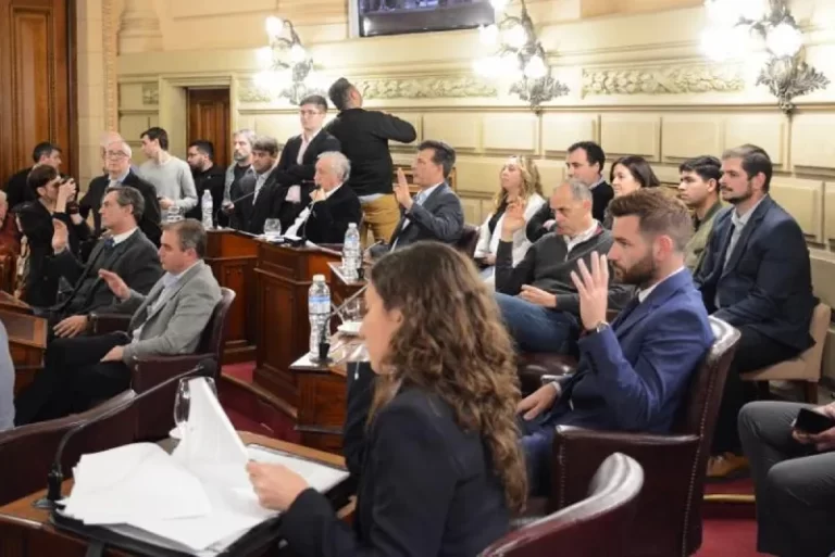 SENADO 1