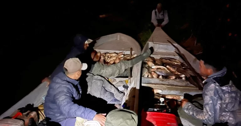 San Javier y zona de islas: Secuestraron unas mil piezas ictícolas