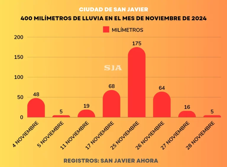 LLUVIA DE NOVIEMBRE