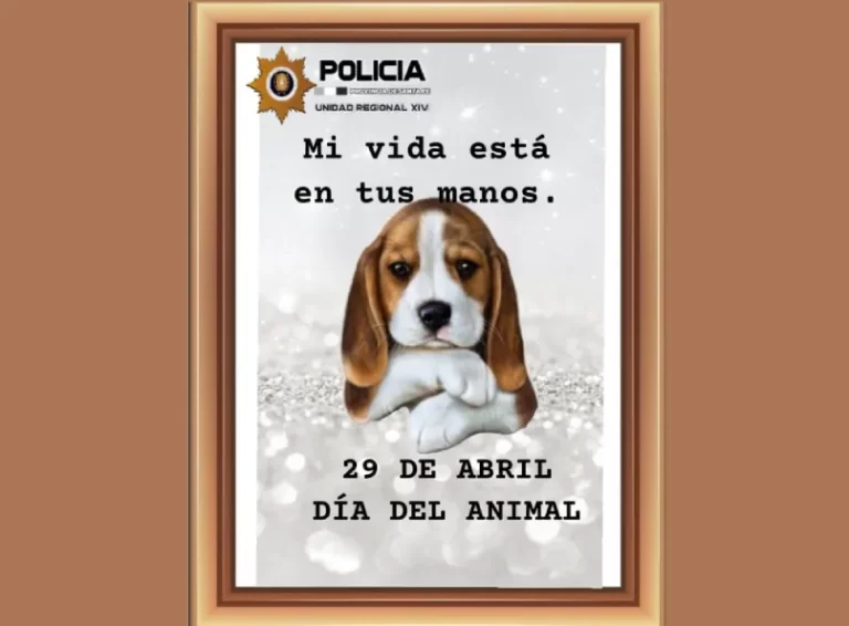 Dia del animal