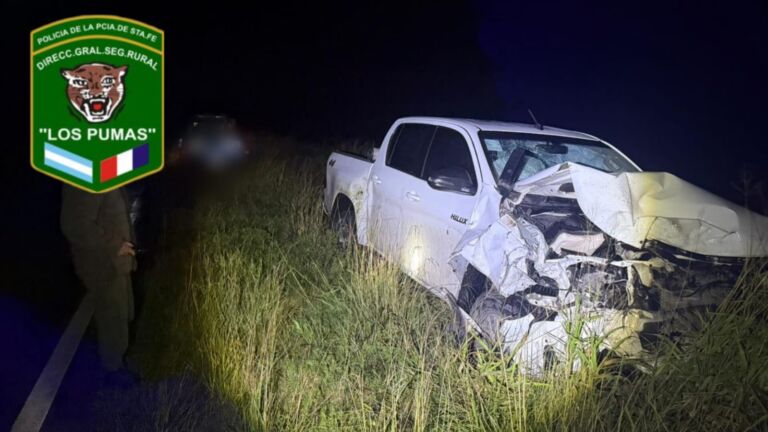 Vera: Embistió un animal vacuno en la ruta