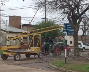 continua-la-poda-de-arboles-en-san-javier
