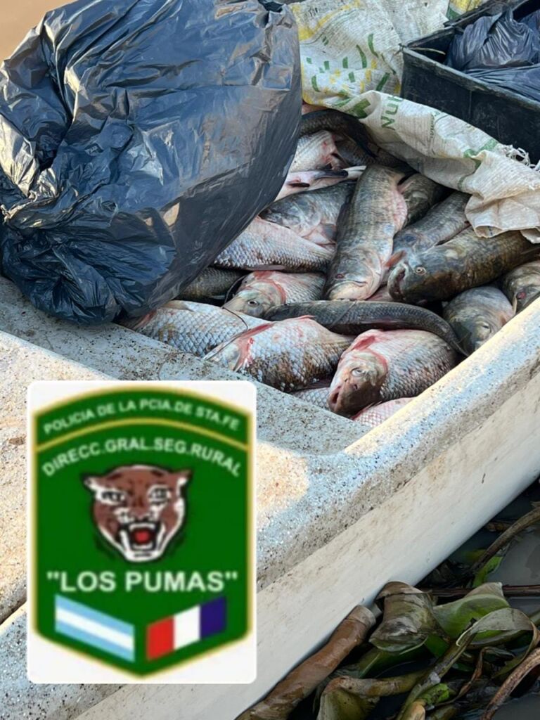 Incautan más de 140 piezas ictícolas en San Javier por infracción a la ley de pesca