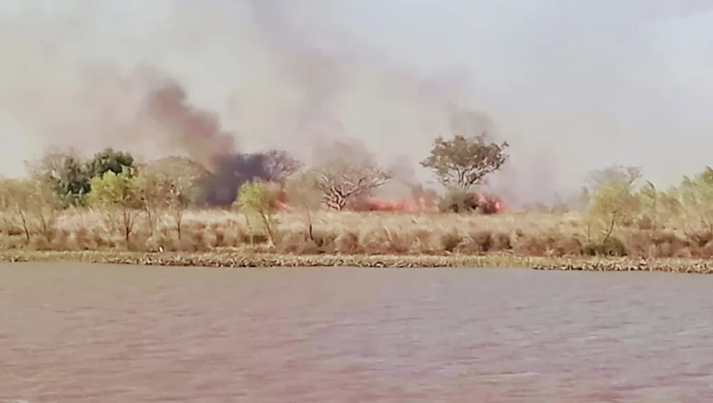 los-incendios-en-las-islas-de-san-javier-cubren-la-ciudad-de-cenizas