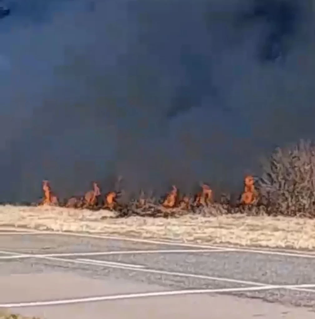 san-javier-incendios-en-colonia-francesa