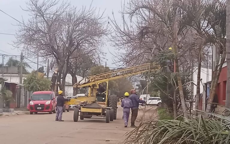 Comunicado de la Municipalidad de San Javier - Poda