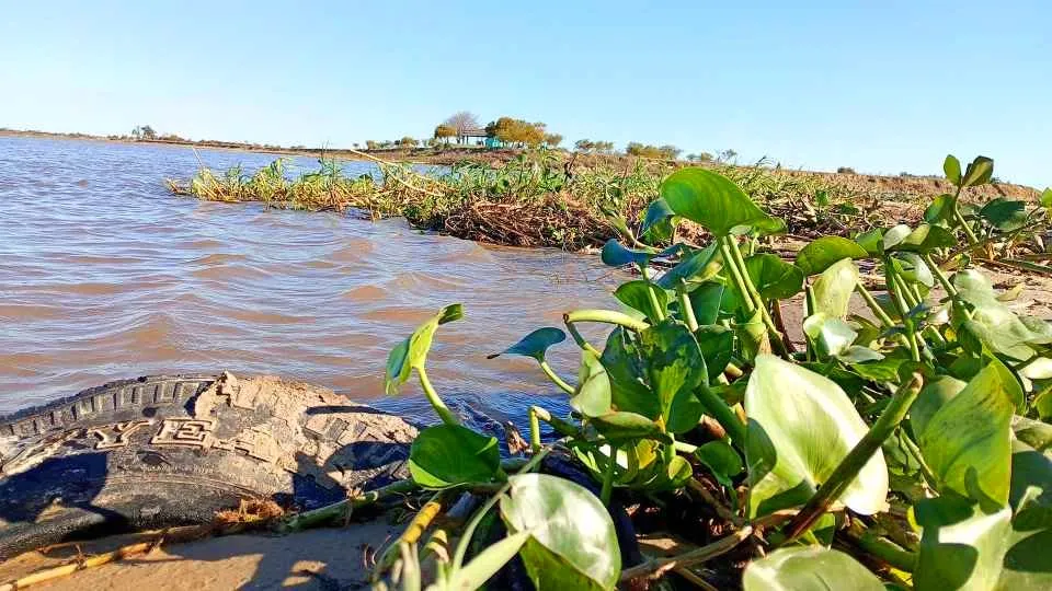 san-javier-se-acerca-la-primavera-y-las-temperaturas-comienzan-a-elevarse