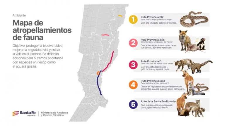 mapa-atropellamiento-santa-fe.jpeg