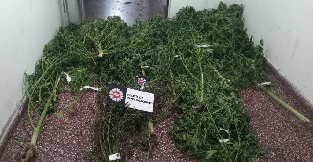 aprehendido-en-vera-por-intentos-de-robo-hurto-calificado-y-tenencia-de-cannabis