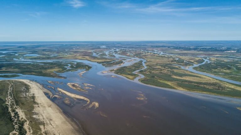 Rio Parana en niveles Medios - Bajos