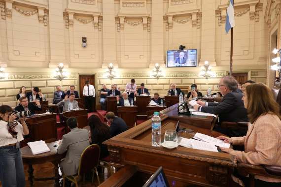 Camara de Senadores