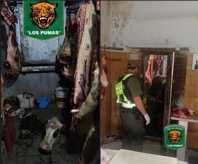 Carne secuestrada en San Justo
