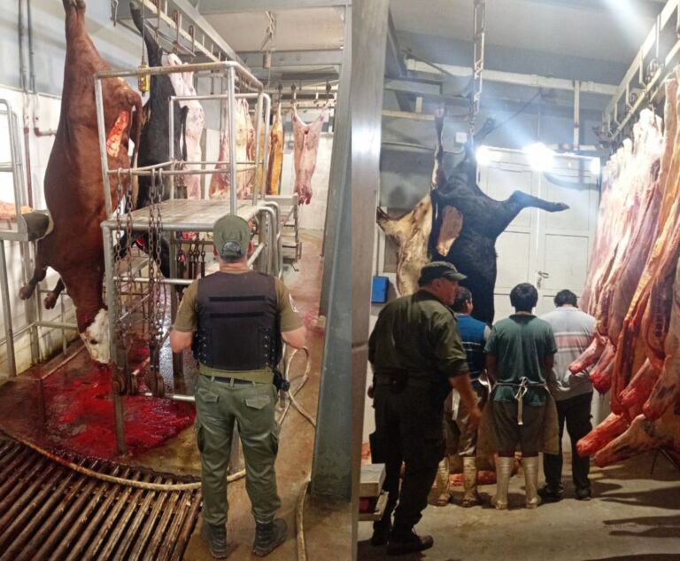 Clausuran frigorifico clandestino en San Javier (1)