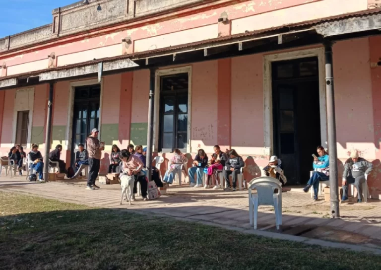 Castración de animales en San Javier - mayo 2026 (2)