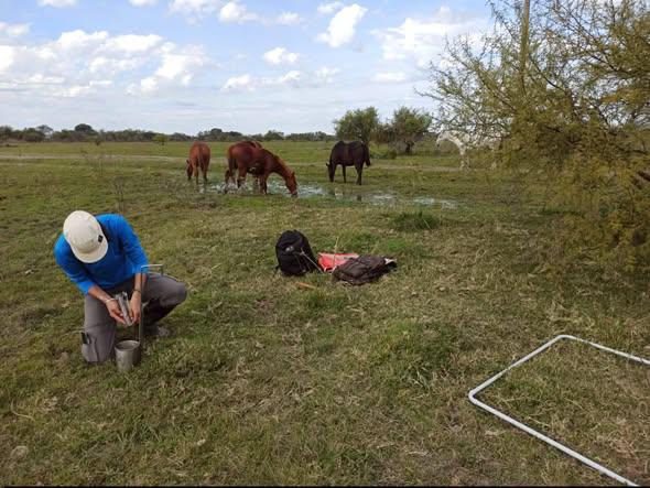 Investigación sobre el suelo del INTA San Javier (3)