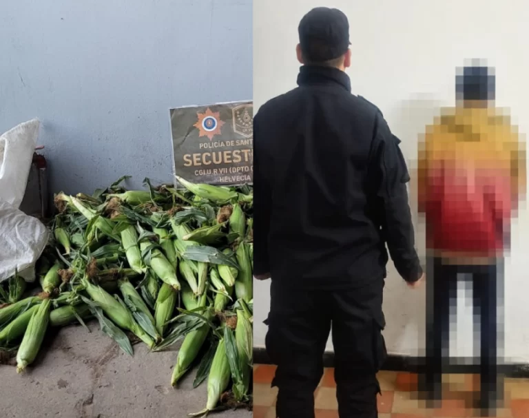 Garay: La Policía esclareció robos en quintas hortícolas
