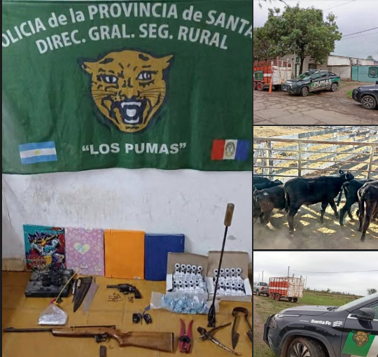 LOS PUMAS ABIGEATO CERES - ROMANG