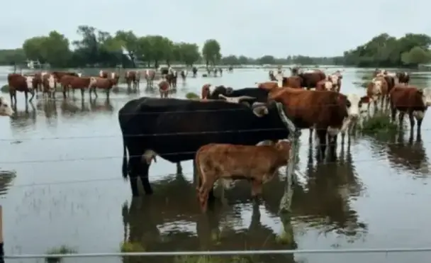 Creciente del Paraná - El Litoral de Corrientes