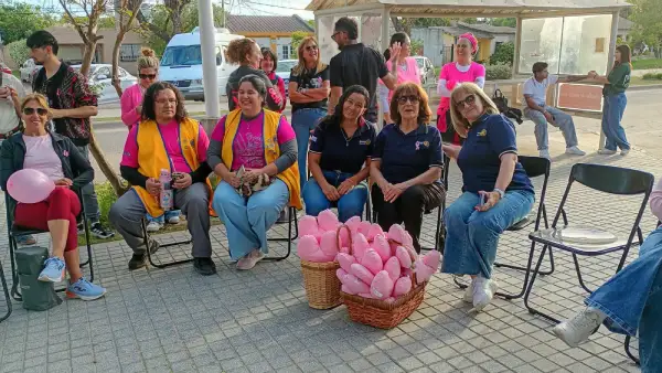 San Javier conmemoró el Octubre Rosa con una emotiva caminata por la concientización del cáncer de mama (3)